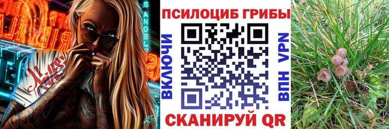 Псилоцибиновые грибы Psilocybine cubensis  где купить наркотик  KRAKEN рабочий сайт  Закаменск 